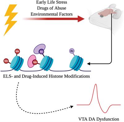 Early Life Stress- and Drug-Induced Histone Modifications Within the Ventral Tegmental Area